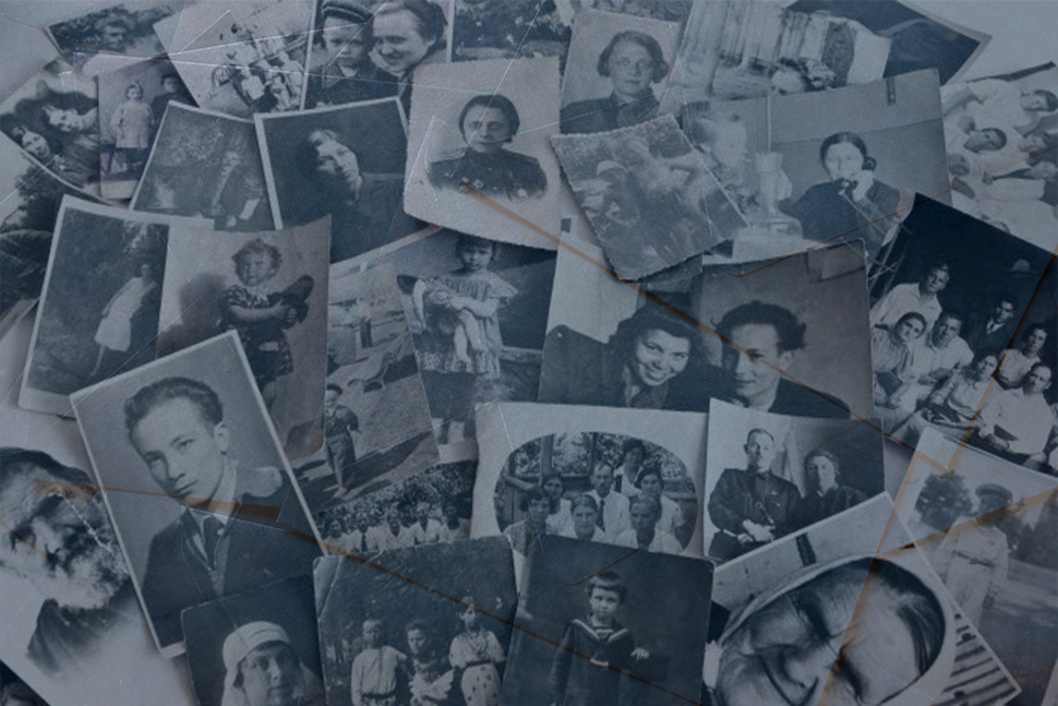 Фотогалерея и видео